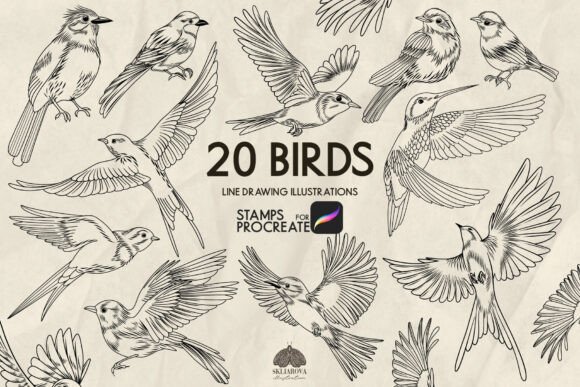 Birds Procreate Stamp Brushes: A Practical Tool for Digital Illustrators and Designers