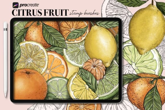 Procreate Citrus Stamp Brushes: Infuse Vibrancy into Digital Art